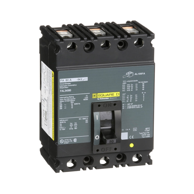 FAL34080 | Schneider Electric Circuit Breaker