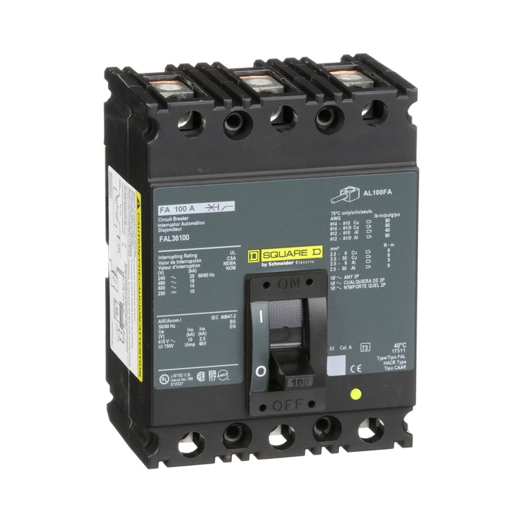 FAL36100 | Schneider Electric Circuit Breaker