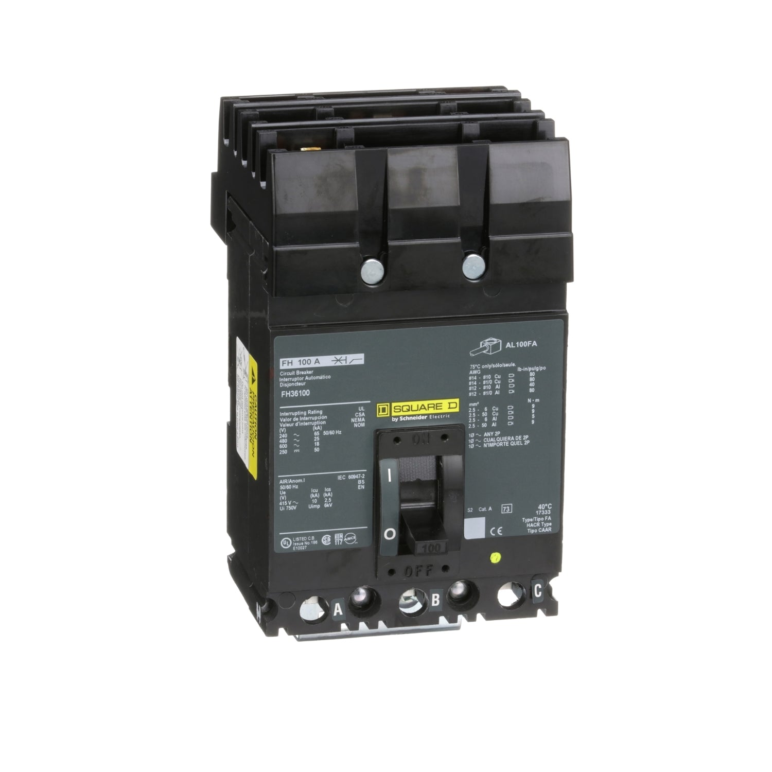 FH36100 | Schneider Electric Circuit Breaker