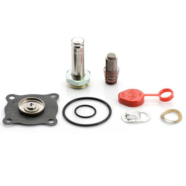 ASCO 304355 Valve Rebuild Kit for 8210G100 & 8210G101
