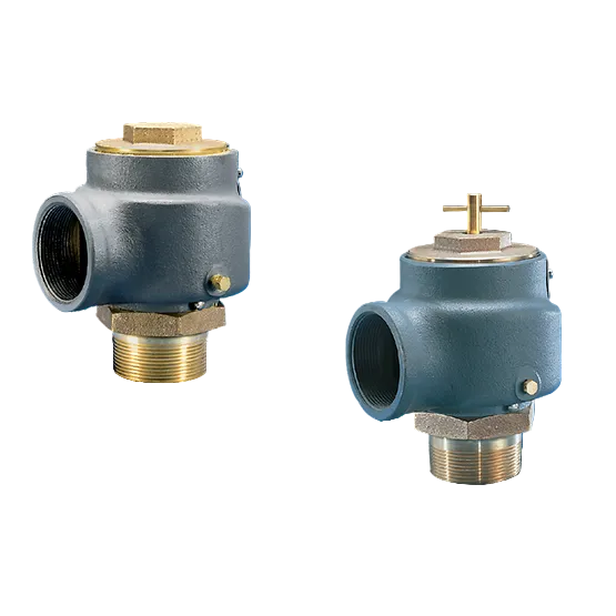 Kunkle 0337-J01ANE 2-1/2-Inch Safety Relief Valve for Non-Code Air and Gas
