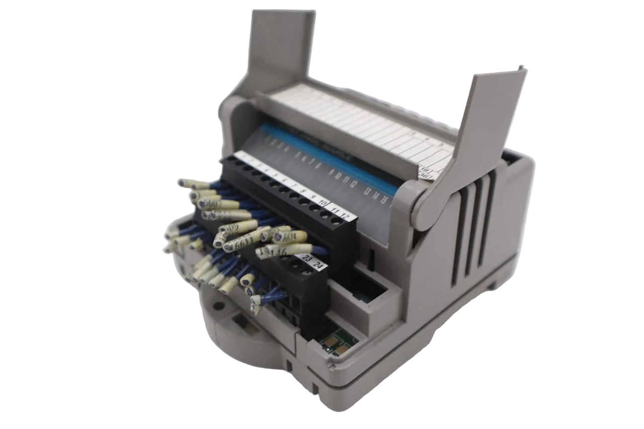 M.1017.3095 | Giddings Lewis 16-Point 24VDC Digital Output PLC Module