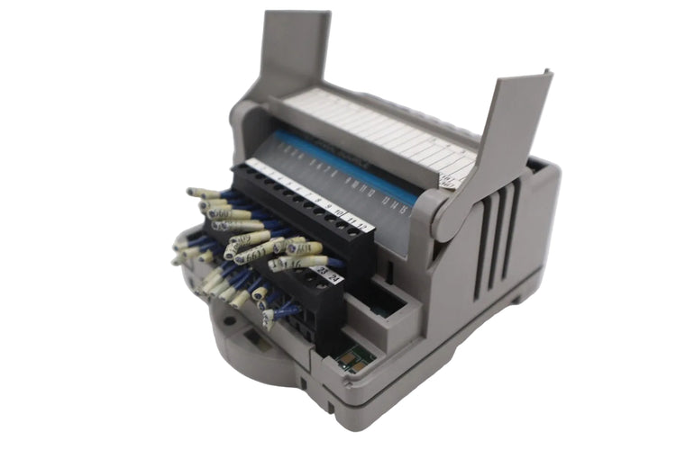 M.1017.3095 | Giddings Lewis 16-Point 24VDC Digital Output PLC Module